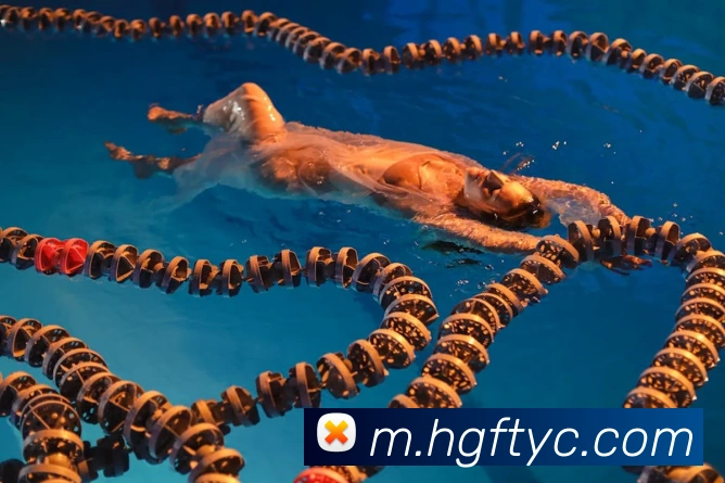 多媒体互动体验